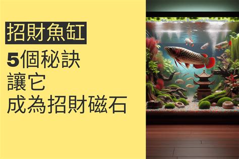 招財魚缸|5個秘訣讓你的魚缸成為招財磁石